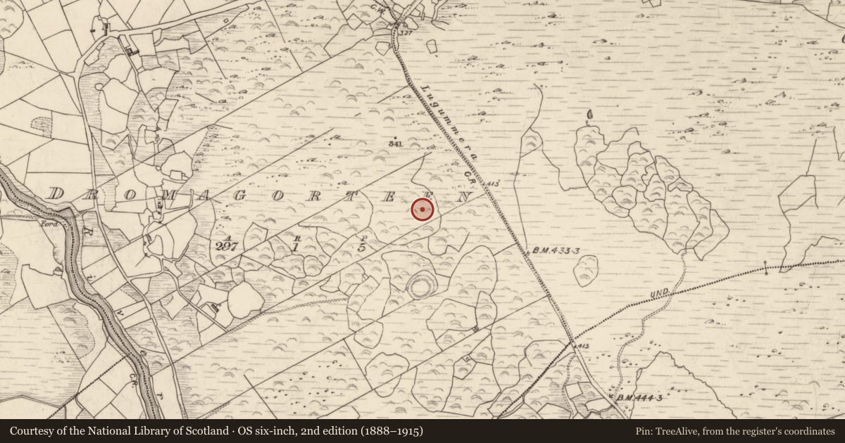 Ordnance Survey six-inch map, 2nd edition (1888–1915) covering the location of Cairn - unclassified, Dromagorteen, County Kerry, with a pin at the register's coordinates