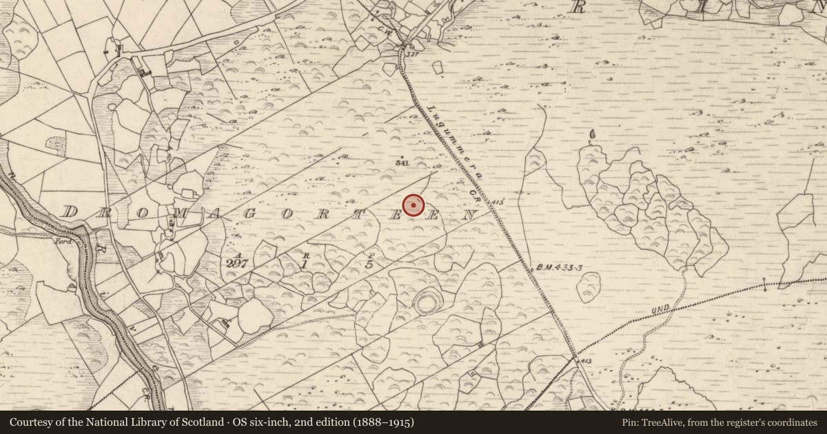 Ordnance Survey six-inch map, 2nd edition (1888–1915) covering the location of Cairn - unclassified, Dromagorteen, County Kerry, with a pin at the register's coordinates