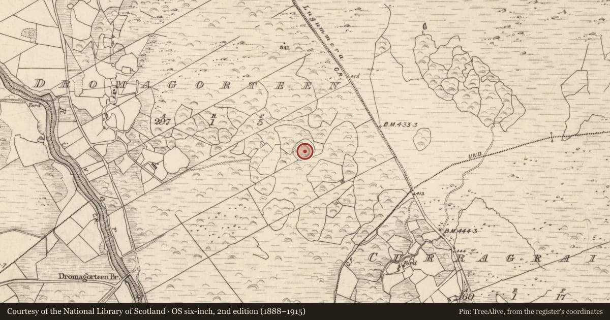 Ordnance Survey six-inch map, 2nd edition (1888–1915) covering the location of Ringfort - rath, Dromagorteen, County Kerry, with a pin at the register's coordinates
