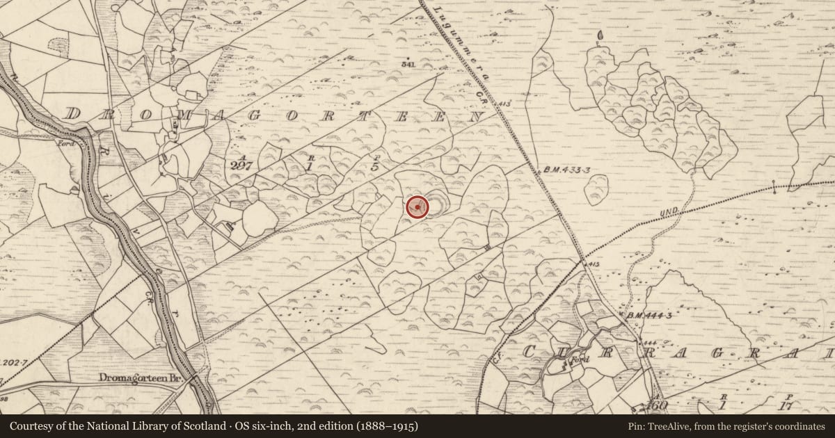 Ordnance Survey six-inch map, 2nd edition (1888–1915) covering the location of Hut site, Dromagorteen, County Kerry, with a pin at the register's coordinates