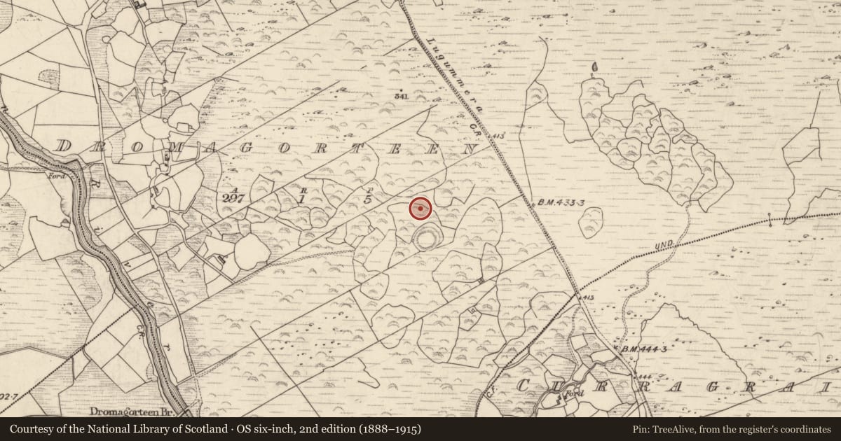 Ordnance Survey six-inch map, 2nd edition (1888–1915) covering the location of Standing stone, Dromagorteen, County Kerry, with a pin at the register's coordinates