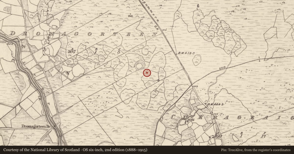 Ordnance Survey six-inch map, 2nd edition (1888–1915) covering the location of Burnt spread, Dromagorteen, County Kerry, with a pin at the register's coordinates