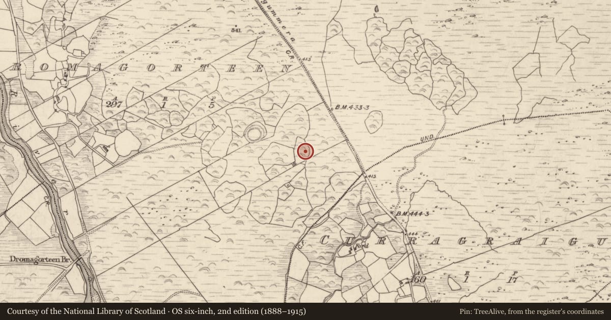 Ordnance Survey six-inch map, 2nd edition (1888–1915) covering the location of Stone circle - multiple-stone, Dromagorteen, County Kerry, with a pin at the register's coordinates
