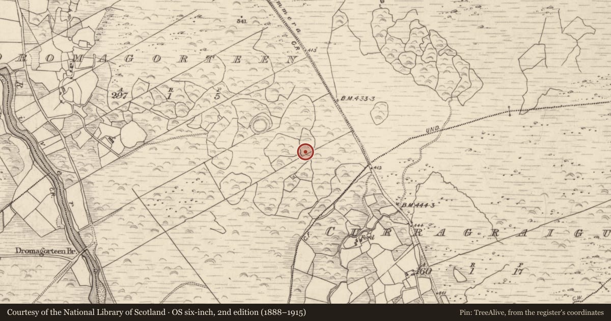 Ordnance Survey six-inch map, 2nd edition (1888–1915) covering the location of Fulacht fia, Dromagorteen, County Kerry, with a pin at the register's coordinates
