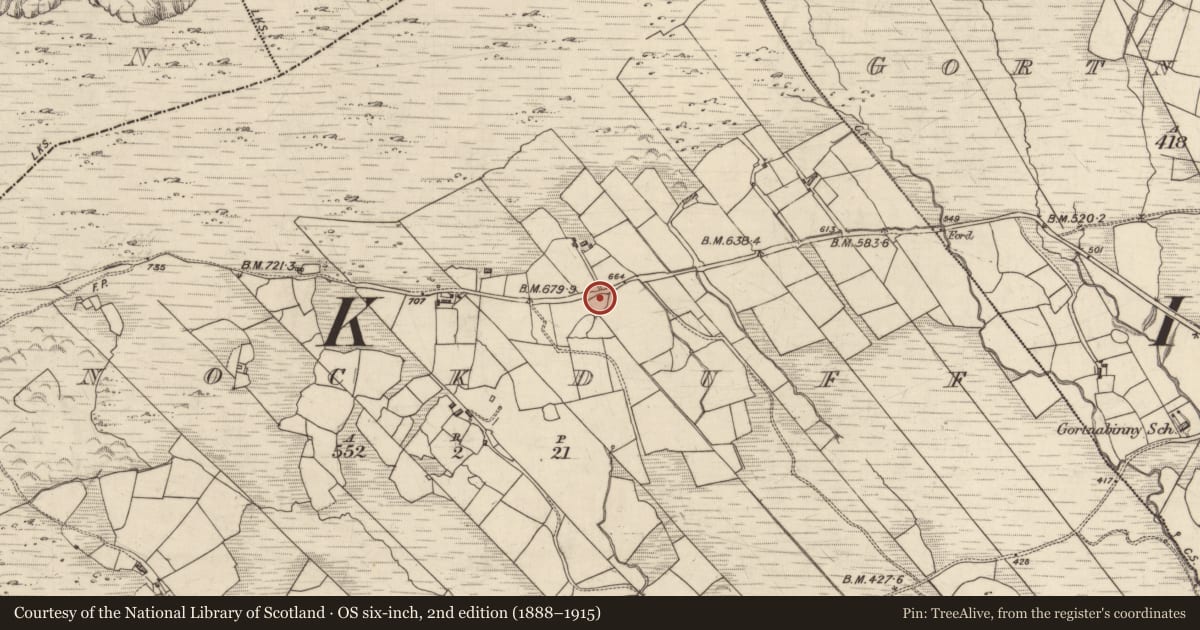 Ordnance Survey six-inch map, 2nd edition (1888–1915) covering the location of Enclosure, Knockduff, County Kerry, with a pin at the register's coordinates