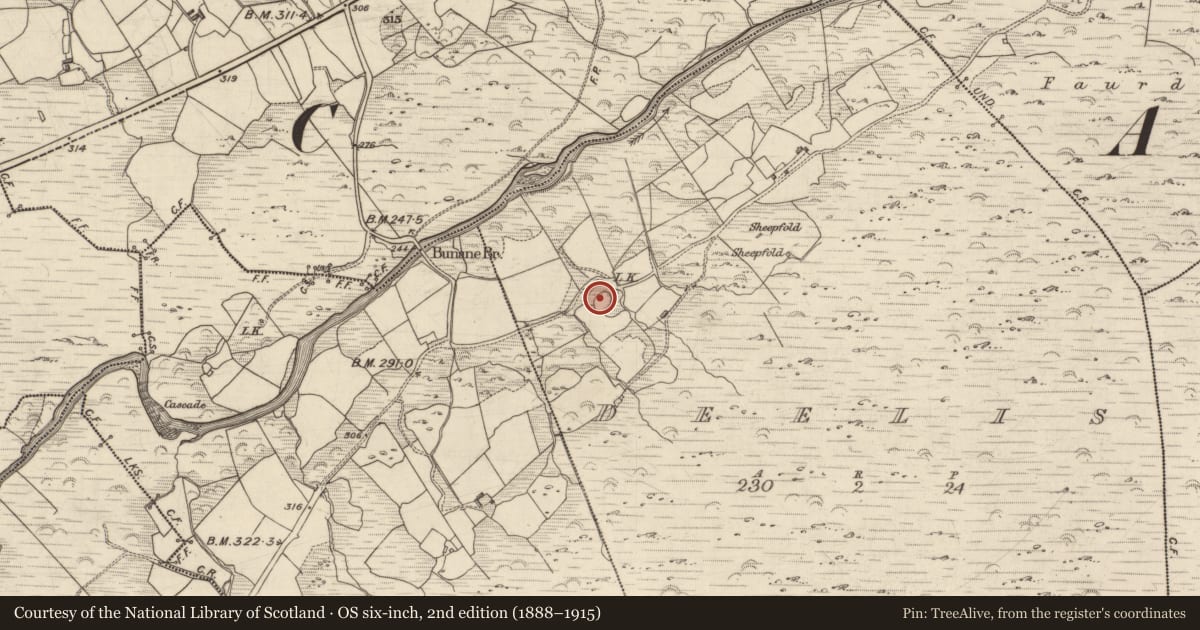 Ordnance Survey six-inch map, 2nd edition (1888–1915) covering the location of Ringfort - rath, Deelis, County Kerry, with a pin at the register's coordinates