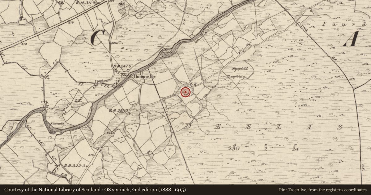 Ordnance Survey six-inch map, 2nd edition (1888–1915) covering the location of Souterrain, Deelis, County Kerry, with a pin at the register's coordinates