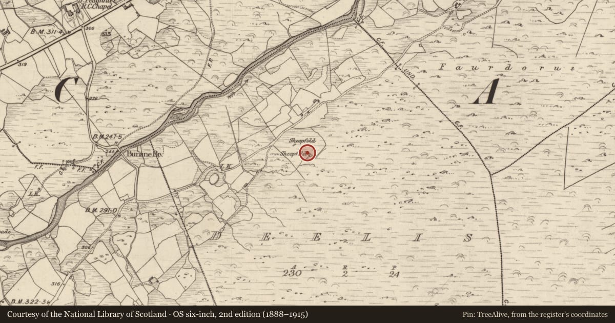 Ordnance Survey six-inch map, 2nd edition (1888–1915) covering the location of Hut site, Deelis, County Kerry, with a pin at the register's coordinates