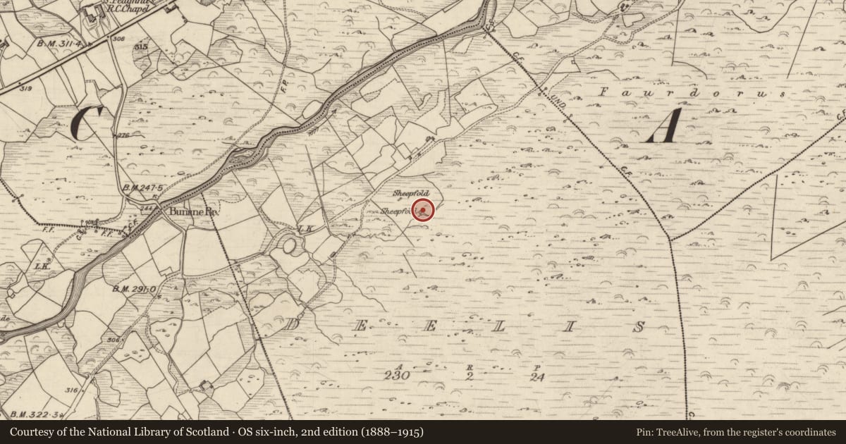 Ordnance Survey six-inch map, 2nd edition (1888–1915) covering the location of Hut site, Deelis, County Kerry, with a pin at the register's coordinates