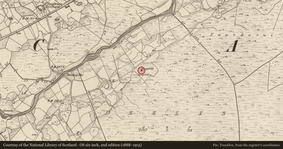 Ordnance Survey six-inch map, 2nd edition (1888–1915) covering the location of Hut site, Deelis, County Kerry, with a pin at the register's coordinates