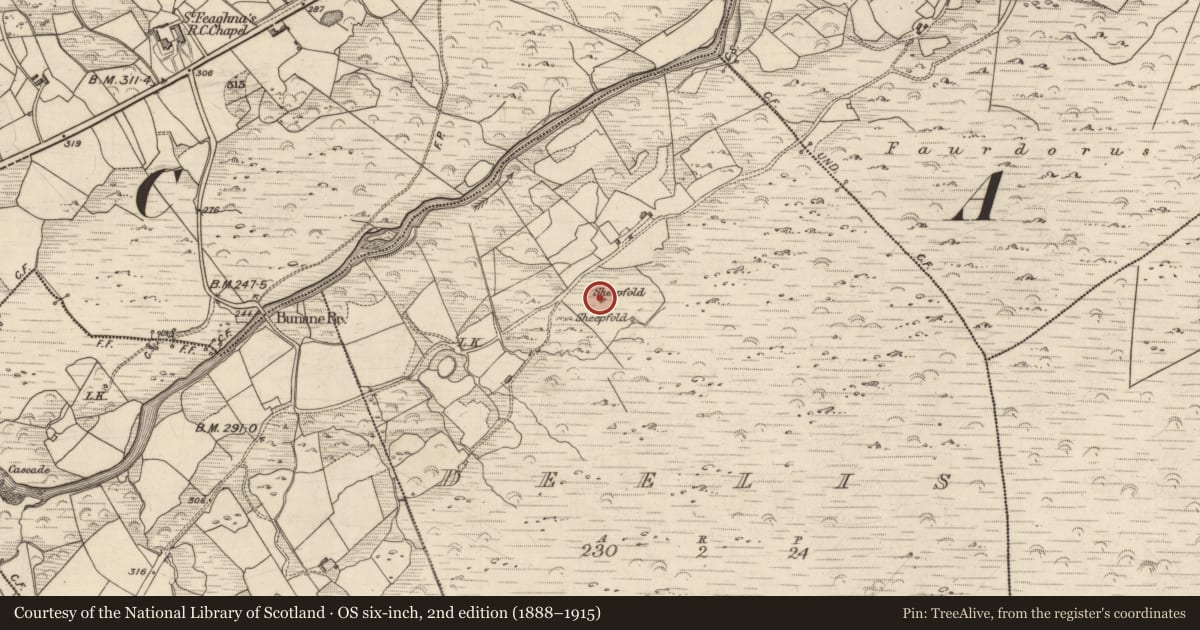 Ordnance Survey six-inch map, 2nd edition (1888–1915) covering the location of Hut site, Deelis, County Kerry, with a pin at the register's coordinates