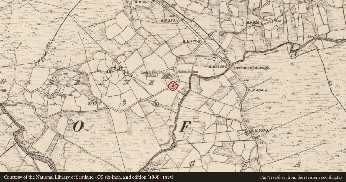 Ordnance Survey six-inch map, 2nd edition (1888–1915) covering the location of Bullaun stone, Garranes, County Kerry, with a pin at the register's coordinates