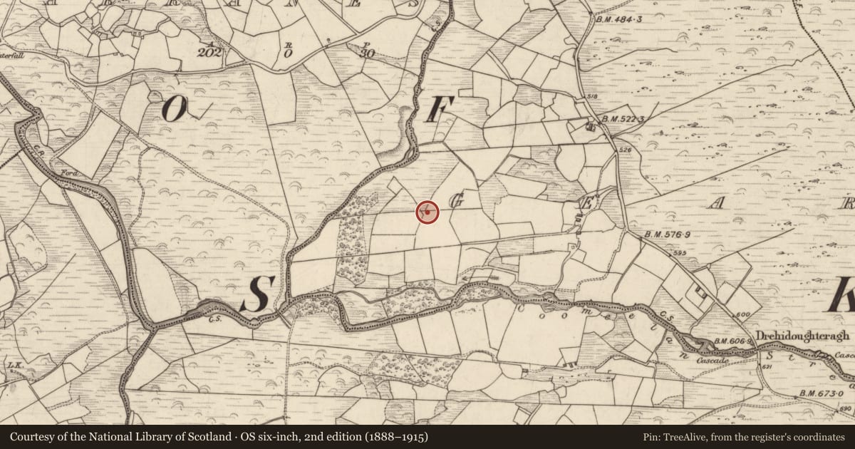 Ordnance Survey six-inch map, 2nd edition (1888–1915) covering the location of Enclosure, Gearhanagoul, County Kerry, with a pin at the register's coordinates