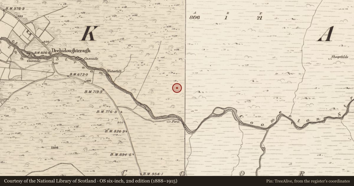 Ordnance Survey six-inch map, 2nd edition (1888–1915) covering the location of Megalithic structure, Gearhanagoul, County Kerry, with a pin at the register's coordinates