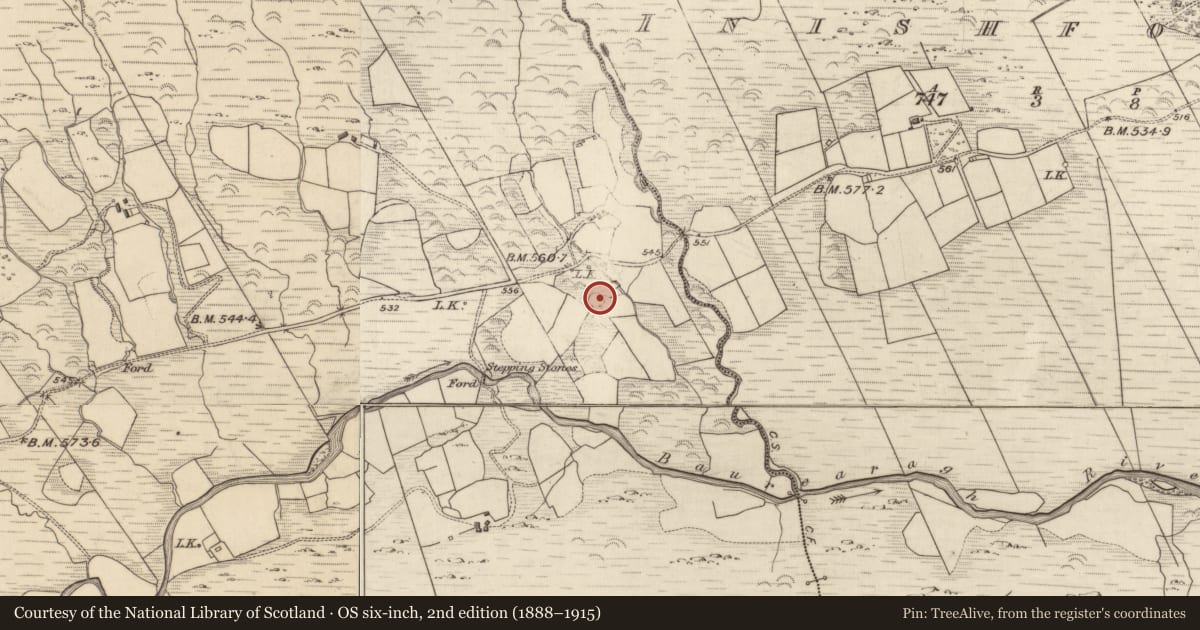 Ordnance Survey six-inch map, 2nd edition (1888–1915) covering the location of Ringfort - rath, Baurearagh, County Kerry, with a pin at the register's coordinates