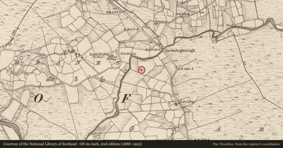 Ordnance Survey six-inch map, 2nd edition (1888–1915) covering the location of Ritual site - holy tree/bush, Gearhanagoul, County Kerry, with a pin at the register's coordinates