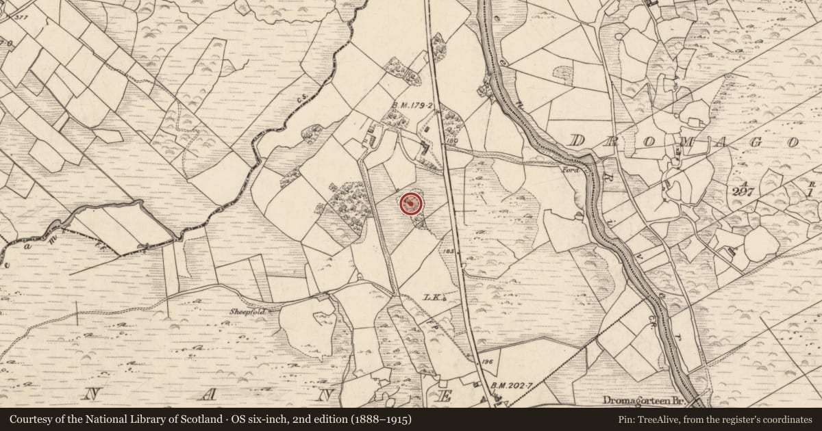Ordnance Survey six-inch map, 2nd edition (1888–1915) covering the location of Ringfort - rath, Killabunane, County Kerry, with a pin at the register's coordinates