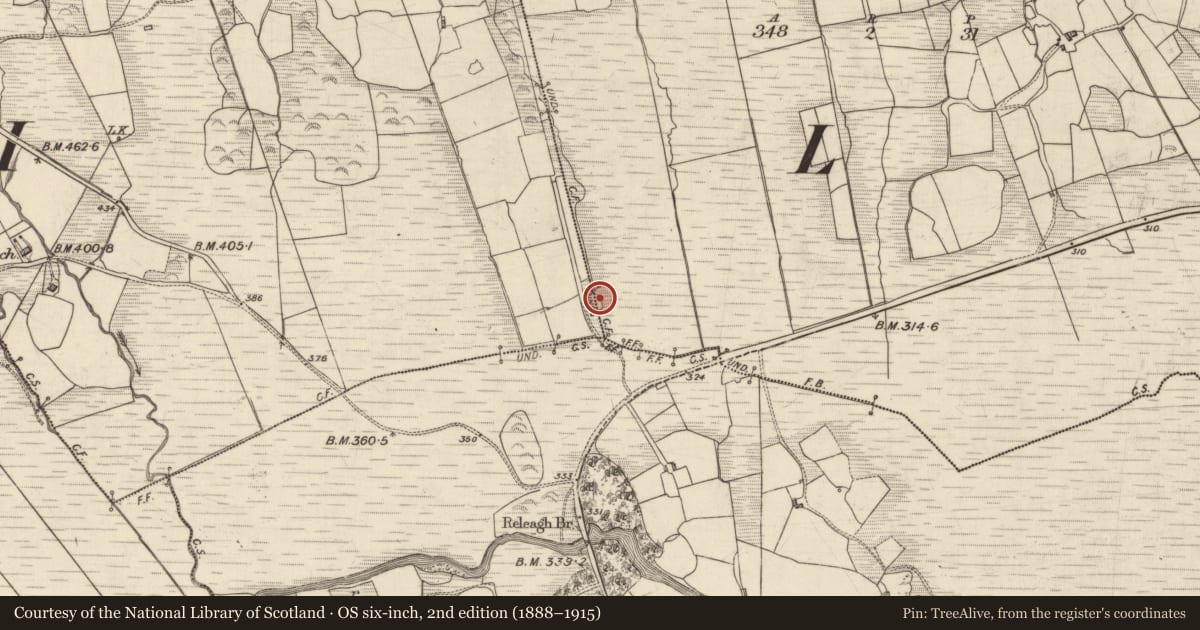 Ordnance Survey six-inch map, 2nd edition (1888–1915) covering the location of Souterrain, Letterdunane, County Kerry, with a pin at the register's coordinates