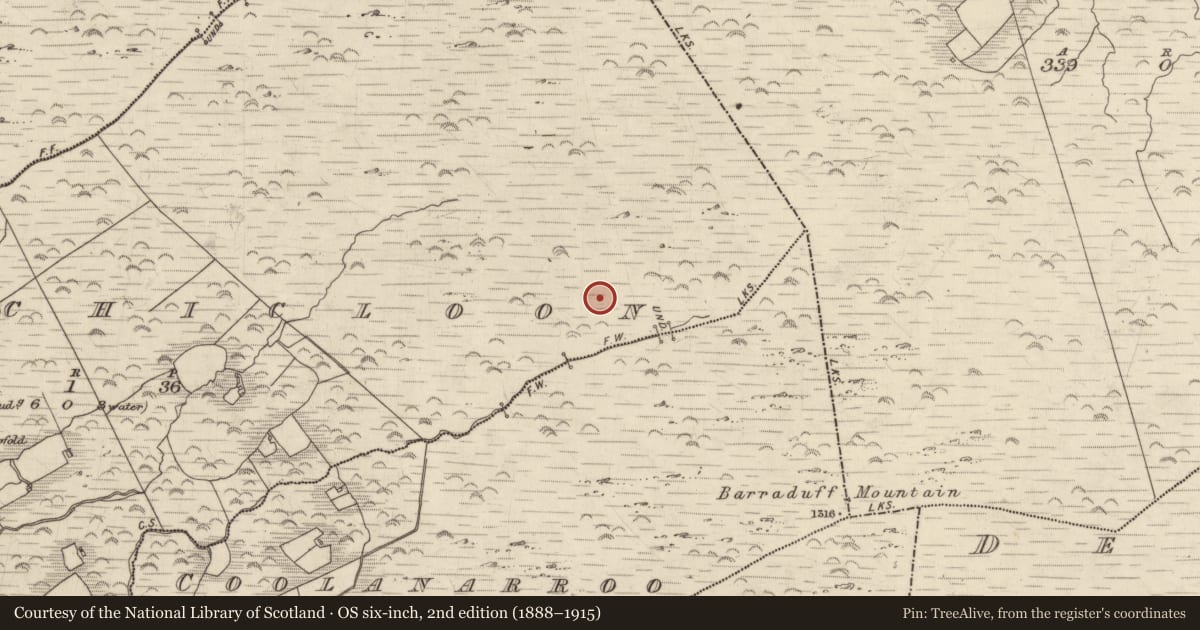 Ordnance Survey six-inch map, 2nd edition (1888–1915) covering the location of Field system, Inchicloon, County Kerry, with a pin at the register's coordinates
