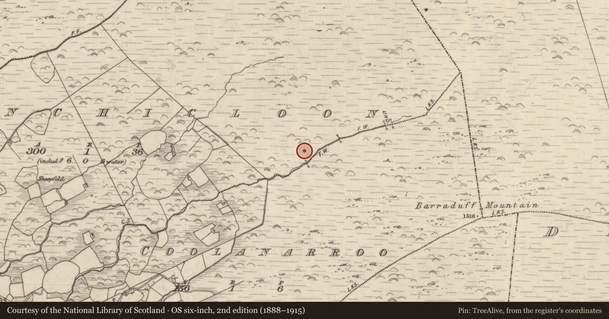 Ordnance Survey six-inch map, 2nd edition (1888–1915) covering the location of Enclosure, Inchicloon, County Kerry, with a pin at the register's coordinates