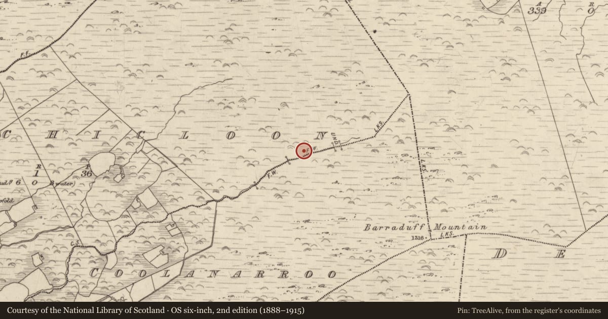 Ordnance Survey six-inch map, 2nd edition (1888–1915) covering the location of Field boundary, Inchicloon, County Kerry, with a pin at the register's coordinates