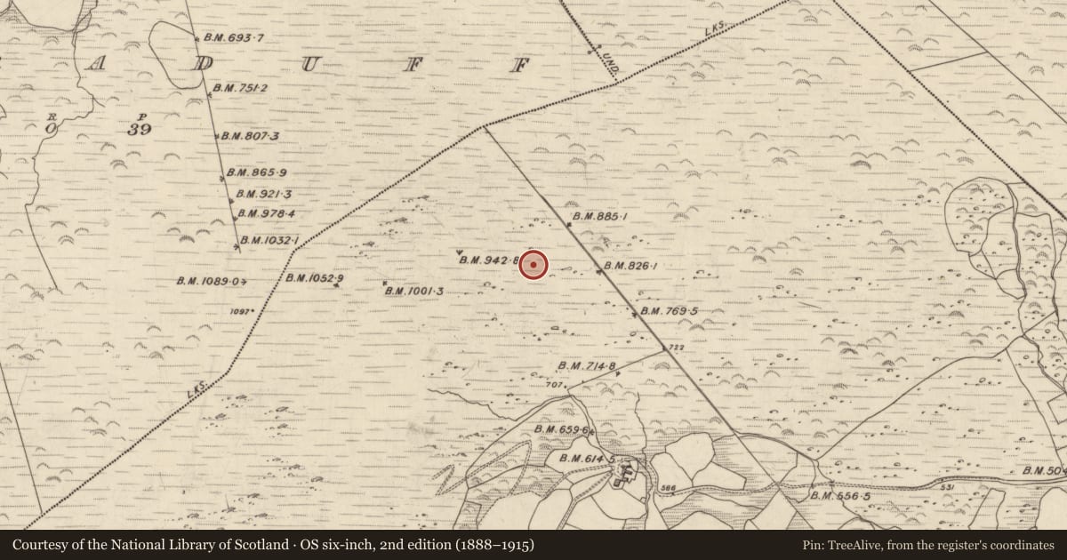 Ordnance Survey six-inch map, 2nd edition (1888–1915) covering the location of Enclosure, Derrynacaheragh, County Kerry, with a pin at the register's coordinates