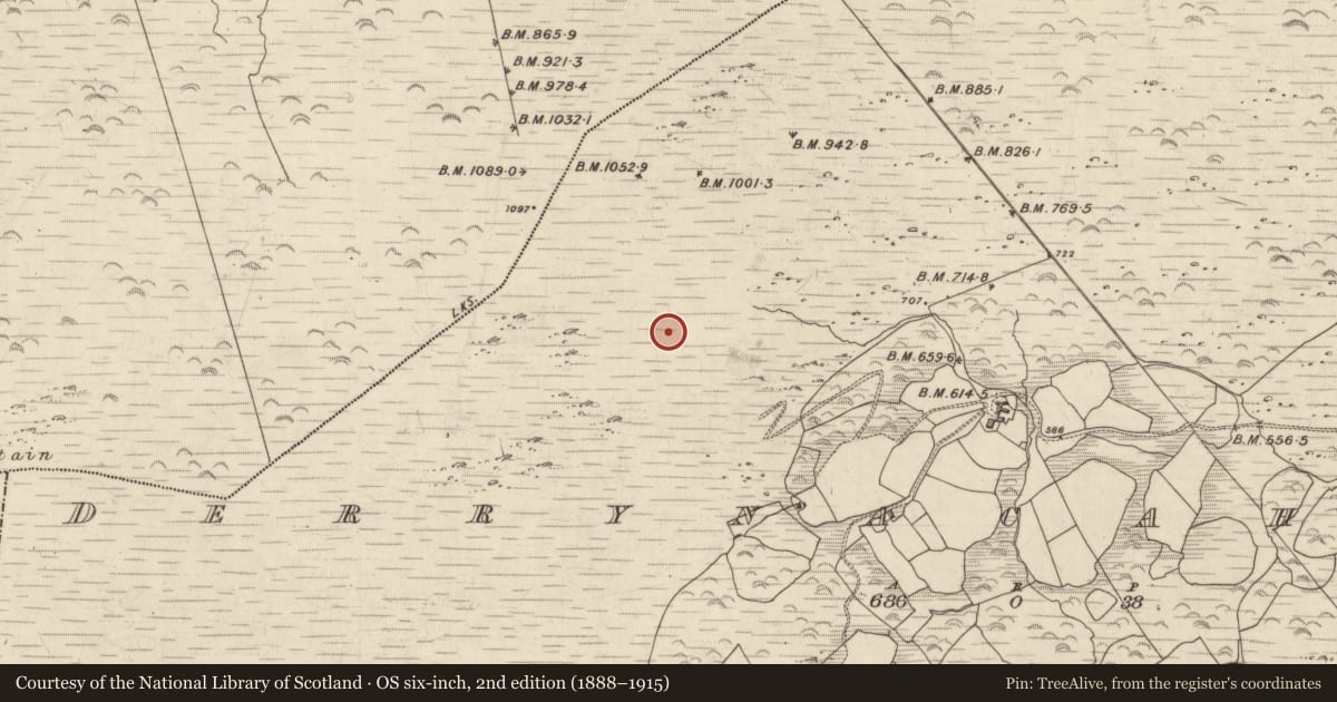 Ordnance Survey six-inch map, 2nd edition (1888–1915) covering the location of Field boundary, Derrynacaheragh, County Kerry, with a pin at the register's coordinates
