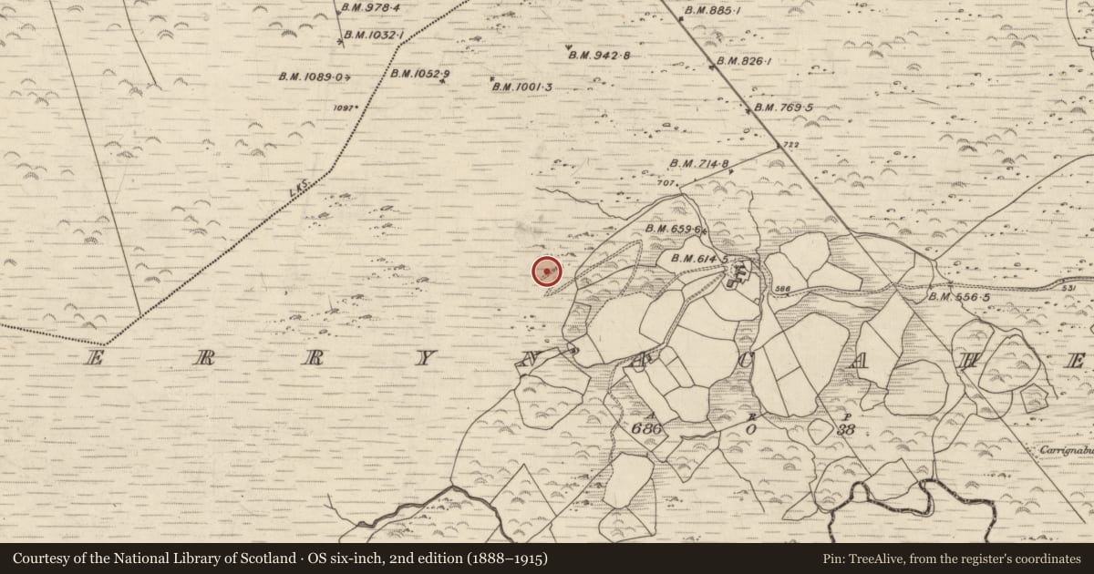 Ordnance Survey six-inch map, 2nd edition (1888–1915) covering the location of Hut site, Derrynacaheragh, County Kerry, with a pin at the register's coordinates
