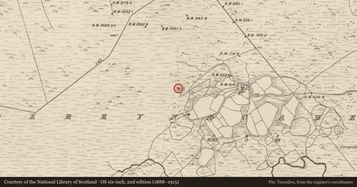 Ordnance Survey six-inch map, 2nd edition (1888–1915) covering the location of Hut site, Derrynacaheragh, County Kerry, with a pin at the register's coordinates
