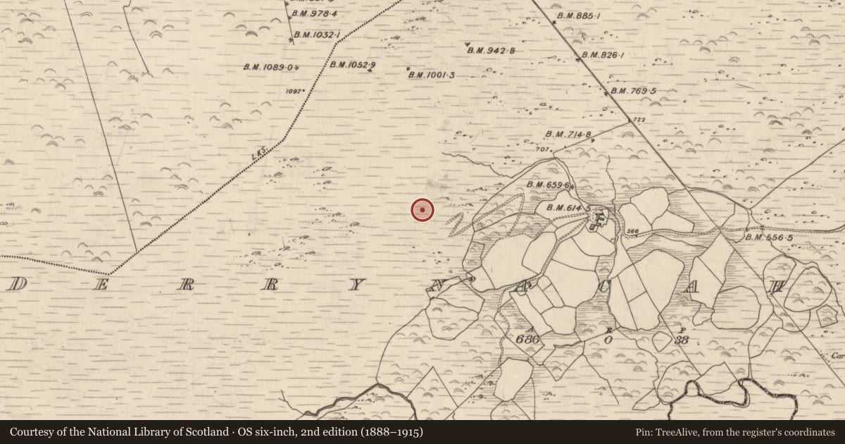 Ordnance Survey six-inch map, 2nd edition (1888–1915) covering the location of Hut site, Derrynacaheragh, County Kerry, with a pin at the register's coordinates