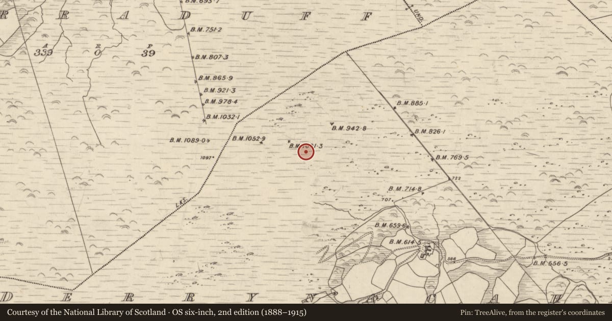 Ordnance Survey six-inch map, 2nd edition (1888–1915) covering the location of Hut site, Derrynacaheragh, County Kerry, with a pin at the register's coordinates