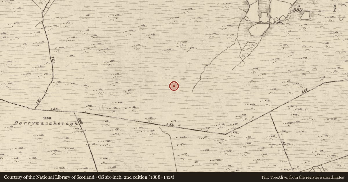Ordnance Survey six-inch map, 2nd edition (1888–1915) covering the location of Field boundary, Killabunane, County Kerry, with a pin at the register's coordinates