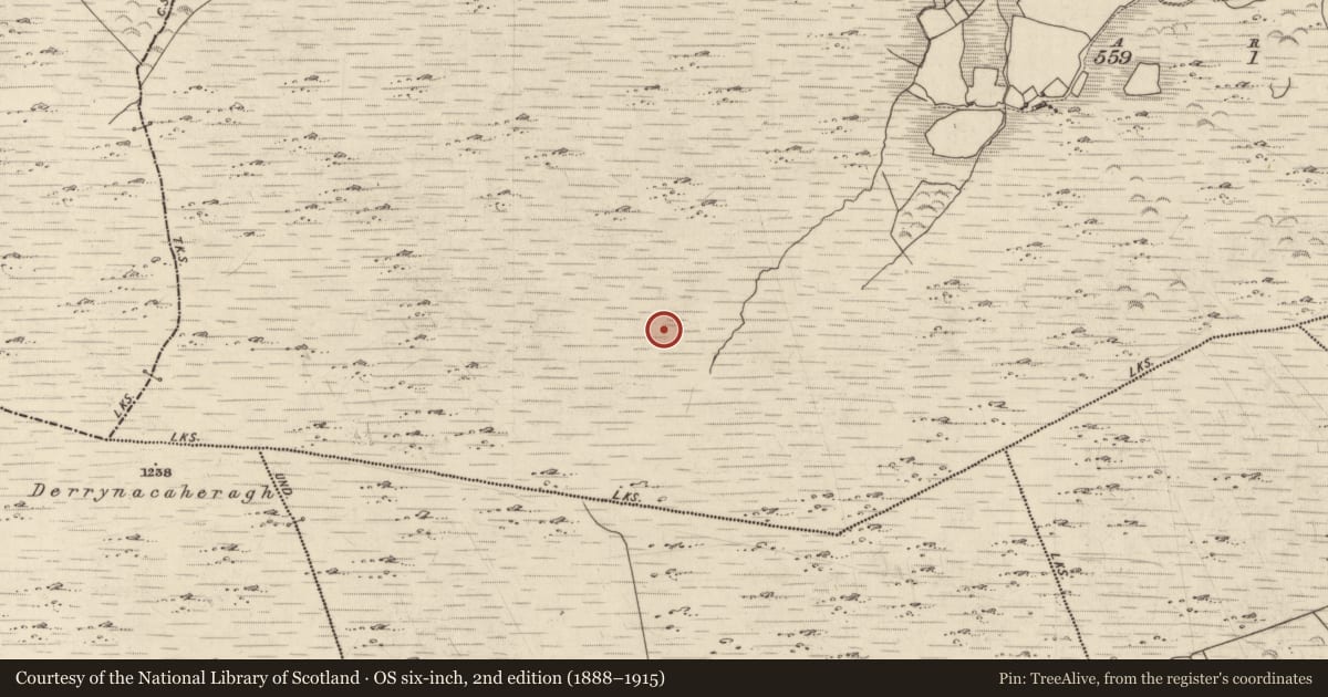 Ordnance Survey six-inch map, 2nd edition (1888–1915) covering the location of Cairn - unclassified, Killabunane, County Kerry, with a pin at the register's coordinates