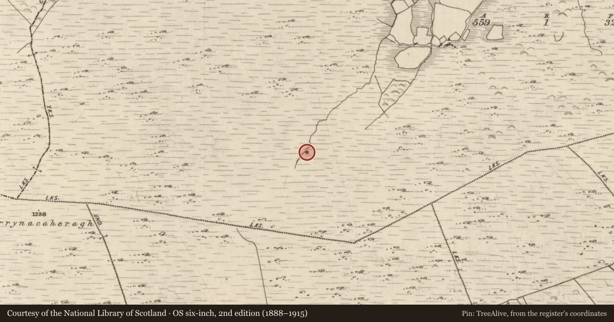 Ordnance Survey six-inch map, 2nd edition (1888–1915) covering the location of Fulacht fia, Killabunane, County Kerry, with a pin at the register's coordinates