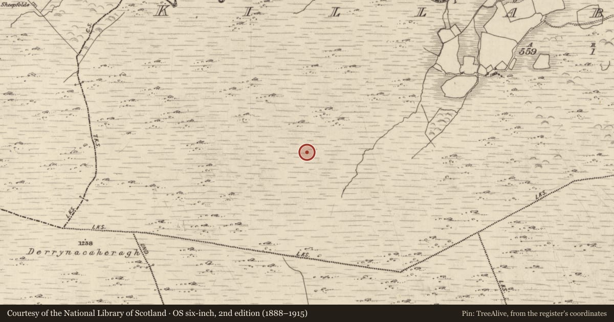 Ordnance Survey six-inch map, 2nd edition (1888–1915) covering the location of Hut site, Killabunane, County Kerry, with a pin at the register's coordinates