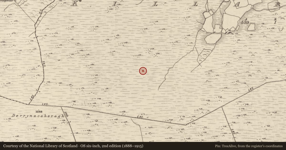 Ordnance Survey six-inch map, 2nd edition (1888–1915) covering the location of Hut site, Killabunane, County Kerry, with a pin at the register's coordinates