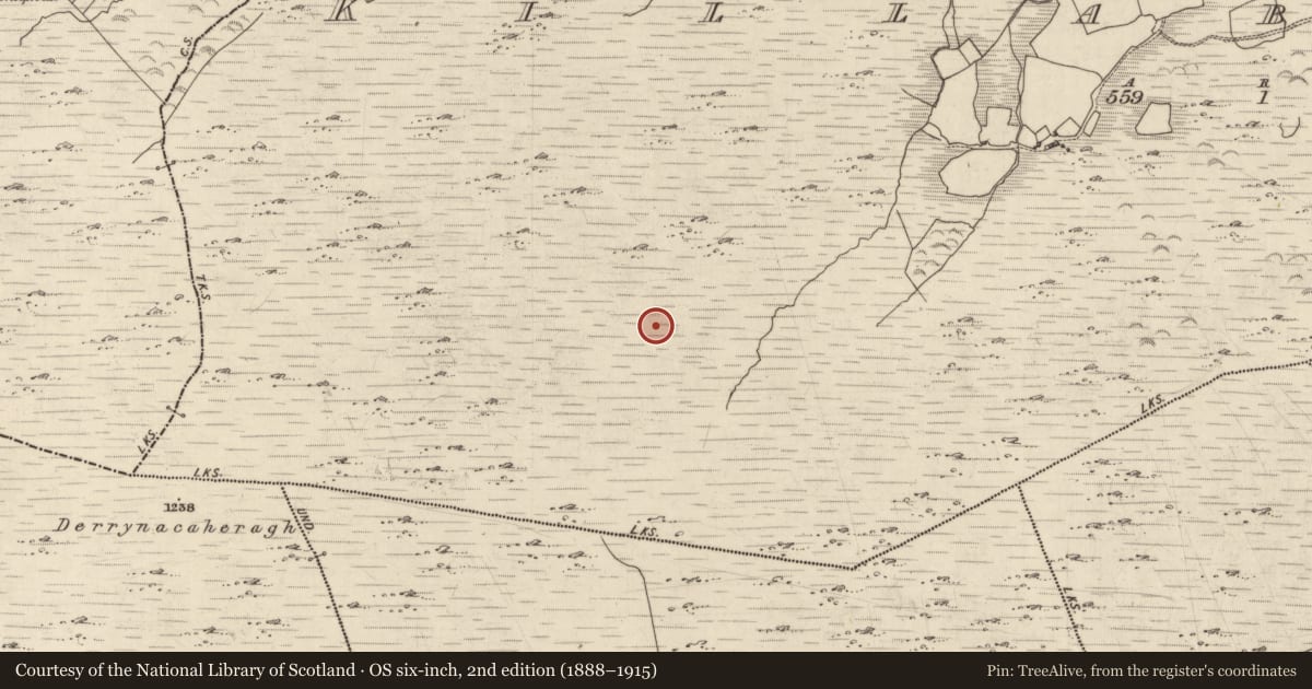 Ordnance Survey six-inch map, 2nd edition (1888–1915) covering the location of Enclosure, Killabunane, County Kerry, with a pin at the register's coordinates