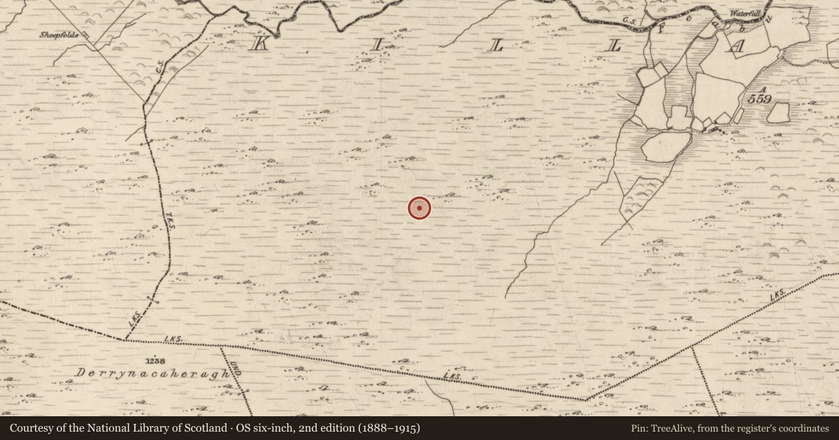 Ordnance Survey six-inch map, 2nd edition (1888–1915) covering the location of Cairn - unclassified, Killabunane, County Kerry, with a pin at the register's coordinates