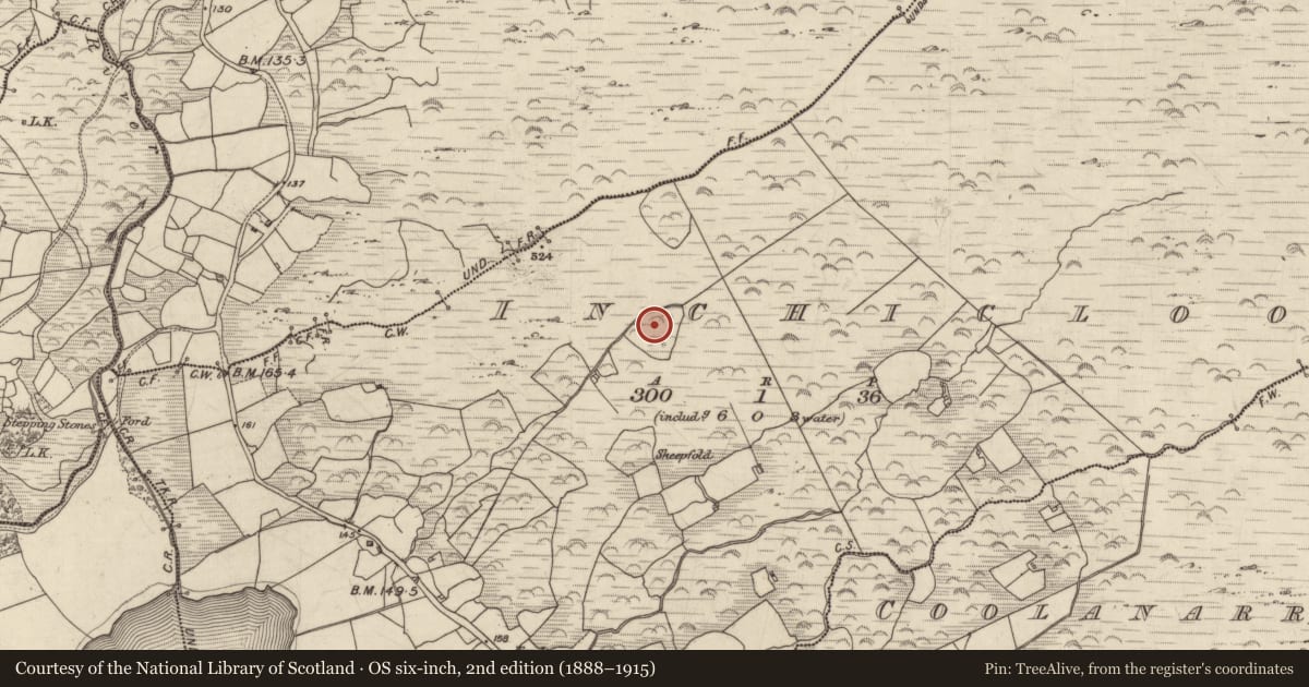Ordnance Survey six-inch map, 2nd edition (1888–1915) covering the location of Enclosure, Inchicloon, County Kerry, with a pin at the register's coordinates