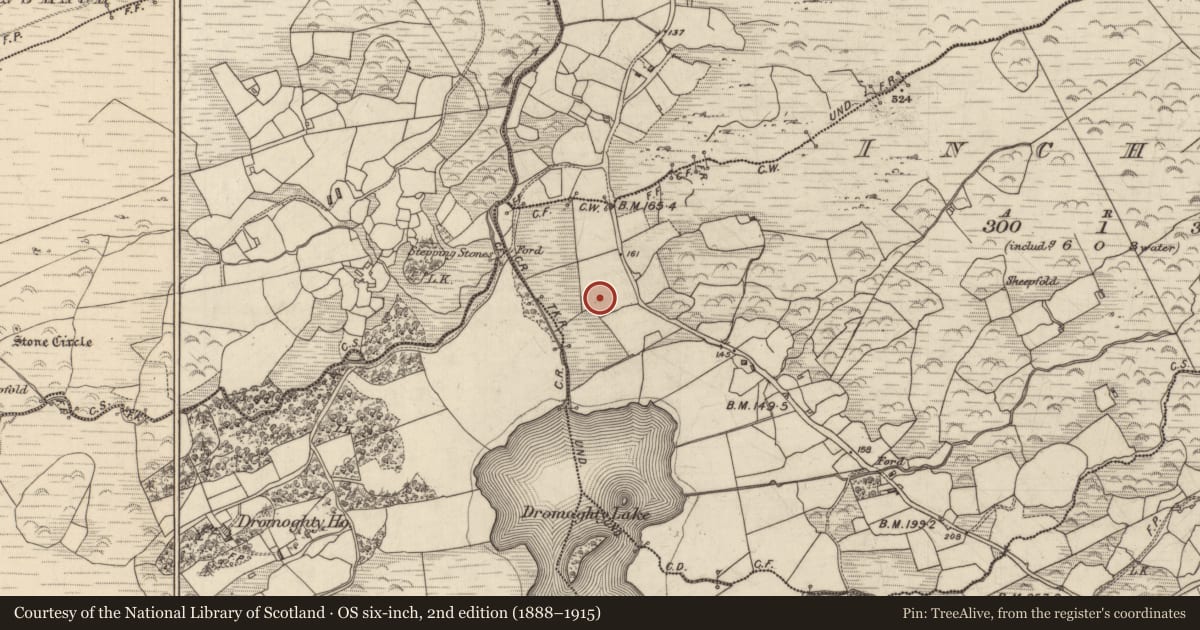 Ordnance Survey six-inch map, 2nd edition (1888–1915) covering the location of Children's burial ground, Inchicloon, County Kerry, with a pin at the register's coordinates