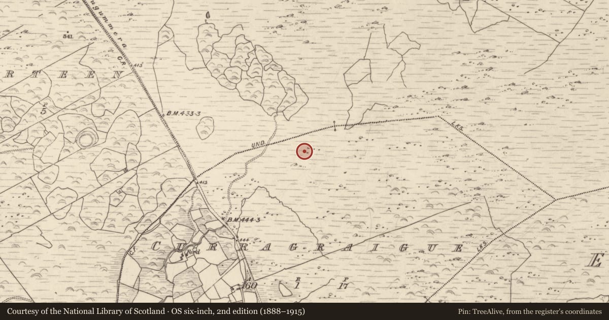 Ordnance Survey six-inch map, 2nd edition (1888–1915) covering the location of Megalithic tomb - wedge tomb, Curragraigue, County Kerry, with a pin at the register's coordinates