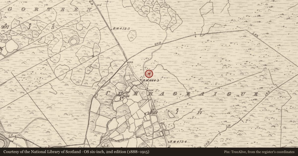 Ordnance Survey six-inch map, 2nd edition (1888–1915) covering the location of Field boundary, Curragraigue, County Kerry, with a pin at the register's coordinates