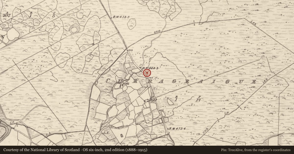 Ordnance Survey six-inch map, 2nd edition (1888–1915) covering the location of Fulacht fia, Curragraigue, County Kerry, with a pin at the register's coordinates