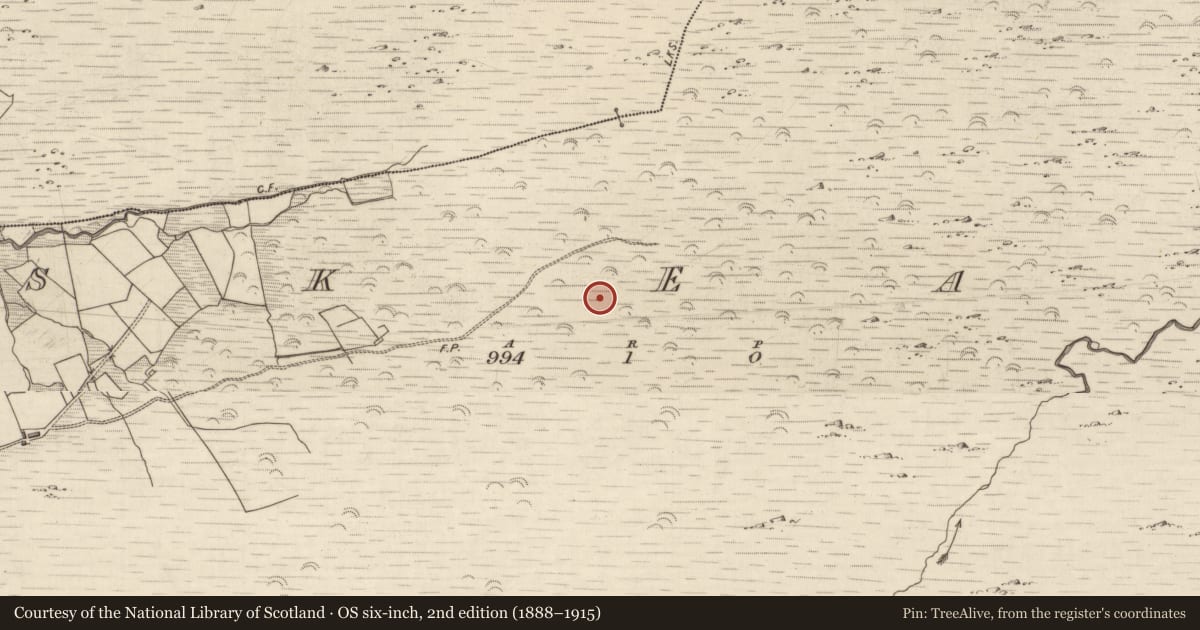 Ordnance Survey six-inch map, 2nd edition (1888–1915) covering the location of Megalithic tomb - wedge tomb, Esk East, County Kerry, with a pin at the register's coordinates