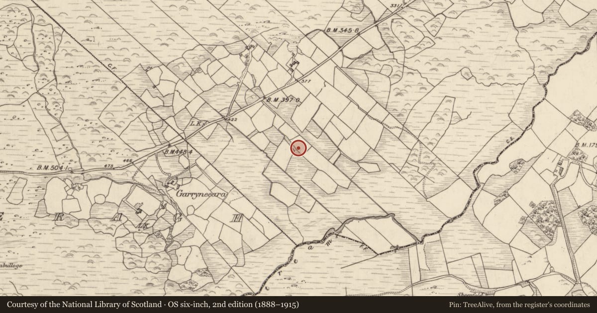 Ordnance Survey six-inch map, 2nd edition (1888–1915) covering the location of Rock art, Derrynacoulagh, County Kerry, with a pin at the register's coordinates