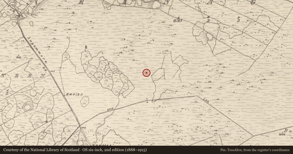 Ordnance Survey six-inch map, 2nd edition (1888–1915) covering the location of Field system, Crinagort, County Kerry, with a pin at the register's coordinates