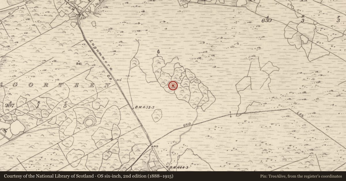 Ordnance Survey six-inch map, 2nd edition (1888–1915) covering the location of Enclosure, Crinagort, County Kerry, with a pin at the register's coordinates