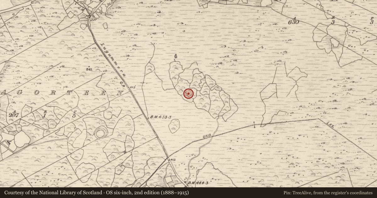 Ordnance Survey six-inch map, 2nd edition (1888–1915) covering the location of Hut site, Crinagort, County Kerry, with a pin at the register's coordinates