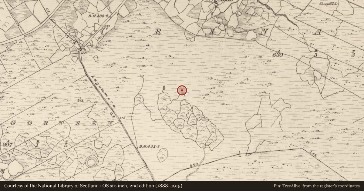 Ordnance Survey six-inch map, 2nd edition (1888–1915) covering the location of Cairn - unclassified, Crinagort, County Kerry, with a pin at the register's coordinates