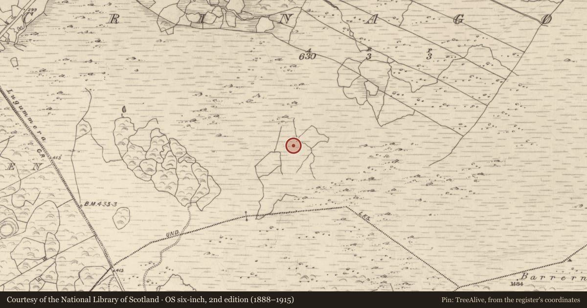 Ordnance Survey six-inch map, 2nd edition (1888–1915) covering the location of Hut site, Crinagort, County Kerry, with a pin at the register's coordinates